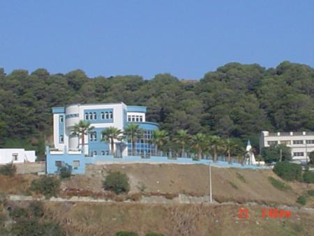 omarito-0101@hotmail.com